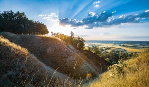 BDO we Francji: przewodnik dla polskich firm - rejestracja, obowiązki w gospodarce odpadami i kary