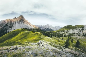 7 szybkich obiadów na każdy dzień: przepisy do 30 min, lista zakupów, opcje wegańskie i porady przygotowania